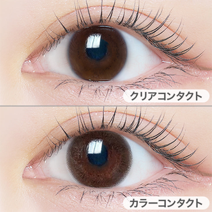エルージュ(eRouge) シックブラウン