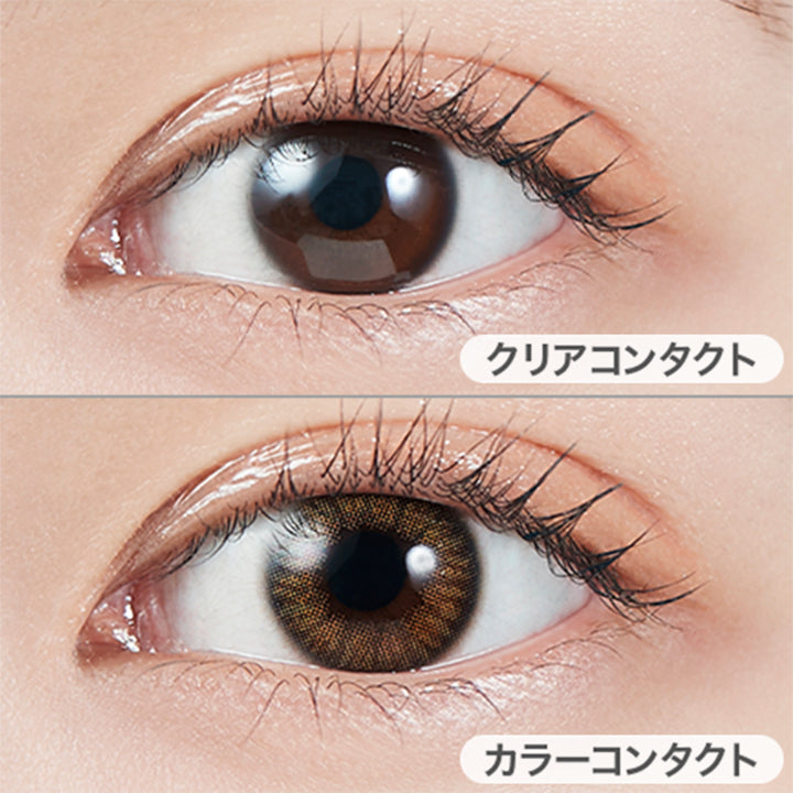 コーラルブラウン(Coral Brown)の装用写真|モラクワンデー MOLAK 1day カラコン カラーコンタクト
