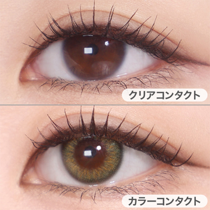 エスエル オリーブ(SL Olive)の装用画像 | メーン main 1day カラコン カラーコンタクト
