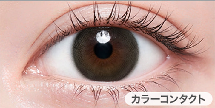 アイディアルブラウンの装用写真|ハイディトーリック(HAIDEY TORIC) 1day カラコン カラーコンタクト