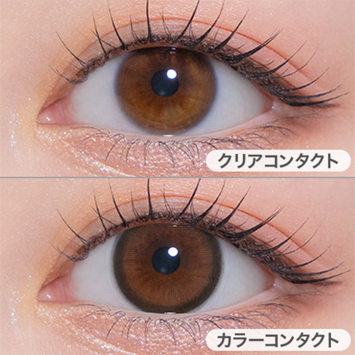 ブラウンバニー(Brown Bunny)の装用画像 | モラクワンマンス Molak 1month カラコン カラーコンタクト
