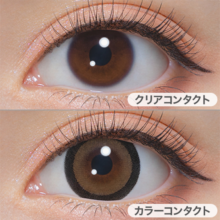 ロイヤルモカ(Royal Mocha)の装用画像 | ミシュー michou 1day カラコン カラーコンタクト

