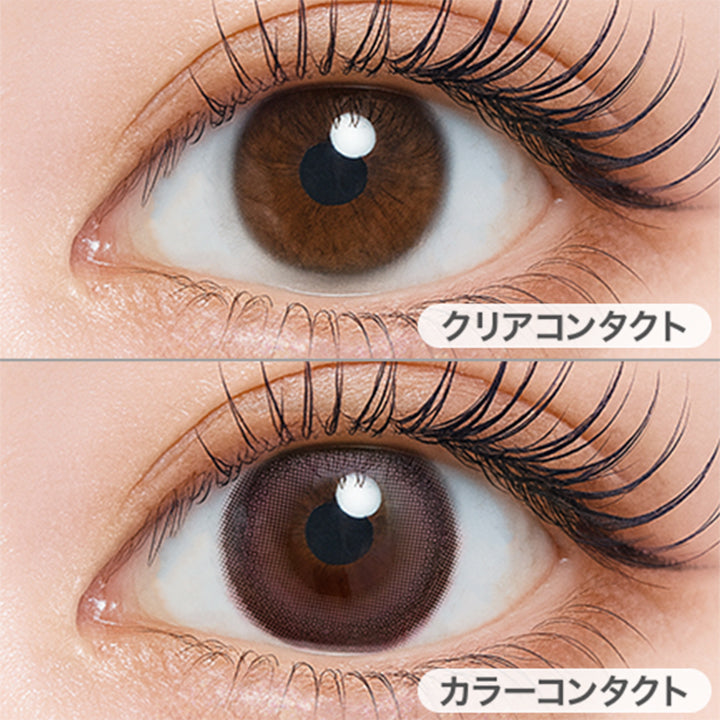 フィグコンポート(Fig Compote)の装用画像 | シャルトンワンデー Charton 1day カラコン カラーコンタクト
