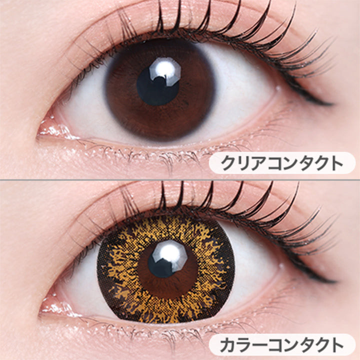 ハッピーブラウン(Happy Brown)の装用画像 | モモンスター MoMonster 1month カラコン カラーコンタクト
