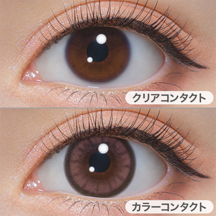 リッチローズ(Rich Rose)の装用画像 | ミシュー michou 1day カラコン カラーコンタクト
