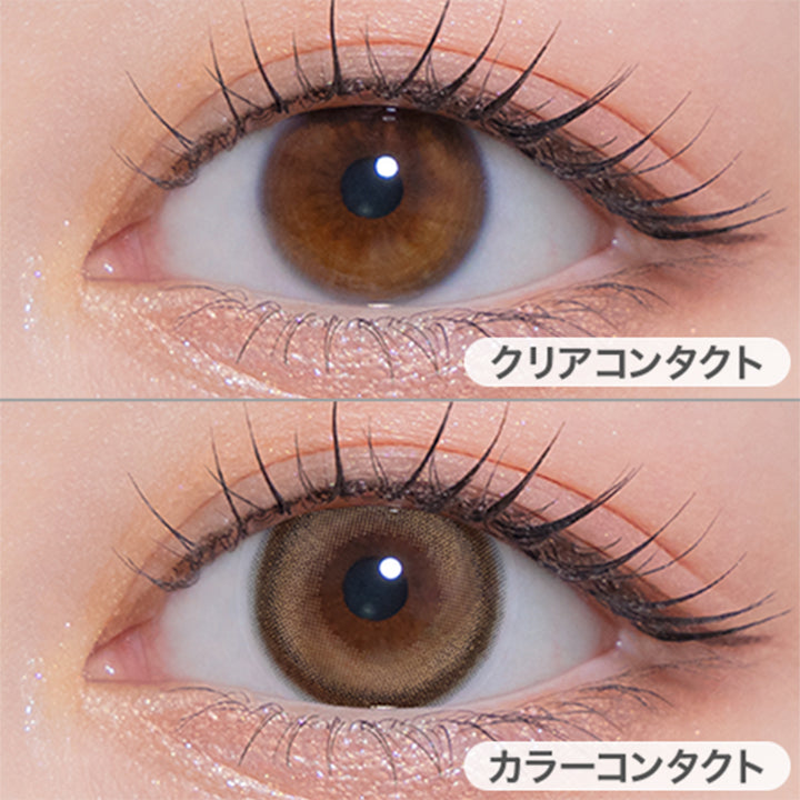 トゥインクルブラウン(Twinkle Brown)の装用画像 | モラクワンマンス Molak 1month カラコン カラーコンタクト
