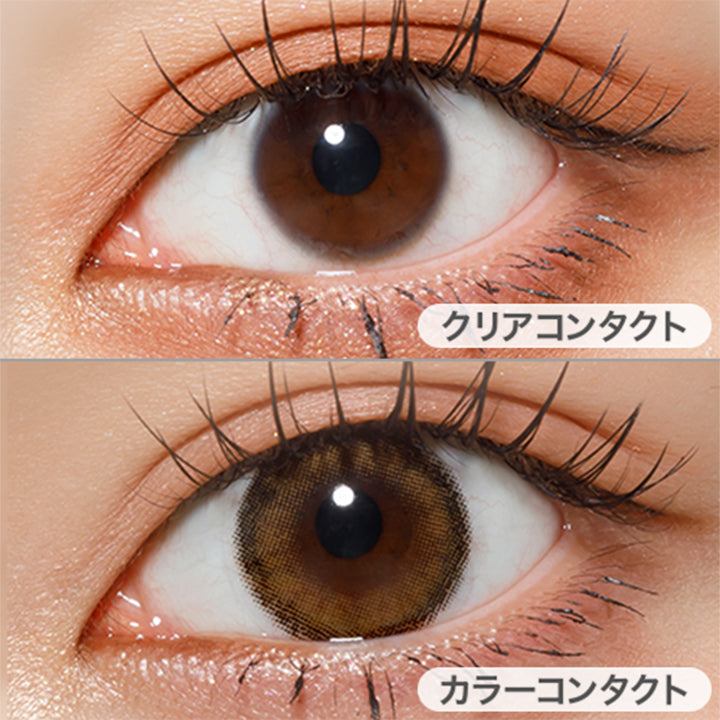ルアヘーゼル(Rua hazel)の装用画像 | チャロル Chalor 1day カラコン カラーコンタクト
