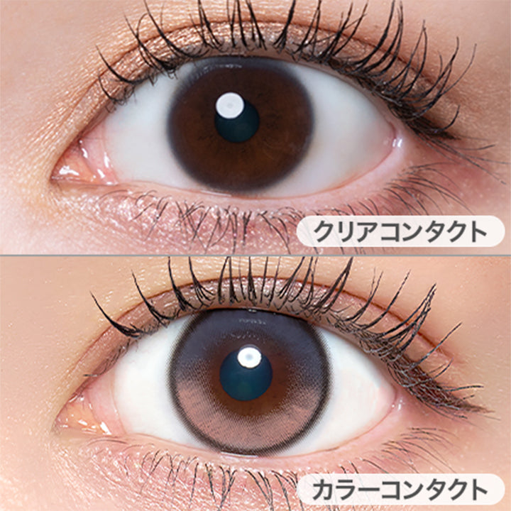 ロゼカメリア(Rose Camellia)の装用画像 | キュプリエワンマンス quprie 1month monthly 1month カラコン カラーコンタクト
