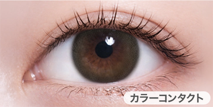 アイディアルブラウン(Ideal Brown)の装用画像 | ハイディ Haidey 1day カラコン カラーコンタクト
