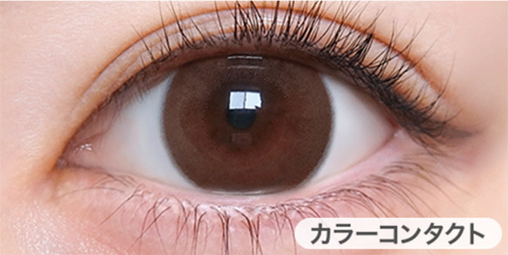 トリコブラウン(Trico Brown)の装用画像 | トリコニナル Toriconinaru 1day カラコン カラーコンタクト
