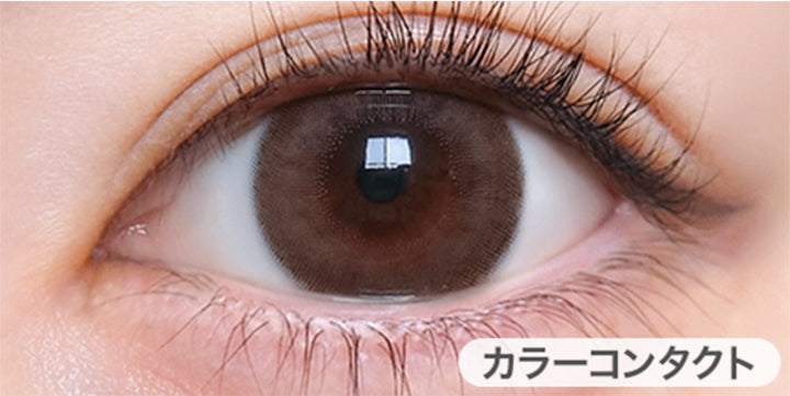 メロメロブラウン(Meromero Brown)の装用画像 | トリコニナル Toriconinaru 1day カラコン カラーコンタクト
