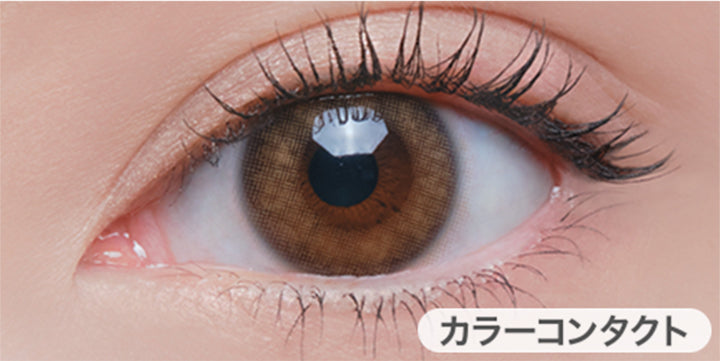 クラッシーヘーゼル(Classy hazel)の装用画像 | グロヴィー GROVI  1day カラコン カラーコンタクト
