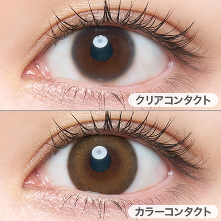 シークレットベア(Secret Bear)の装用画像 | メロットトーリック melotte Toric 1day 乱視用カラコン カラーコンタクト
