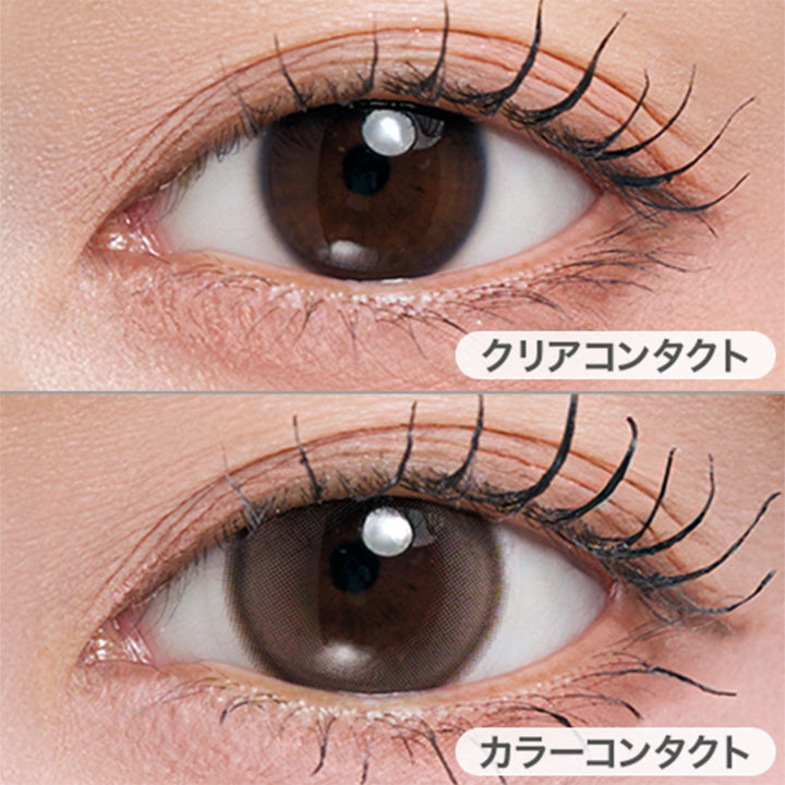 シフォンブラウン(Ciffon Brown)の装用画像 | メイリーシフォンワンデー meilly chiffon 1day カラコン カラーコンタクト
