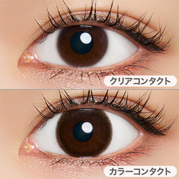 ダークブラウン(Dark Brown)の装用画像 | ネオサイトワンデーリングUv Neosight Oneday Ring Uv カラコン カラーコンタクト
