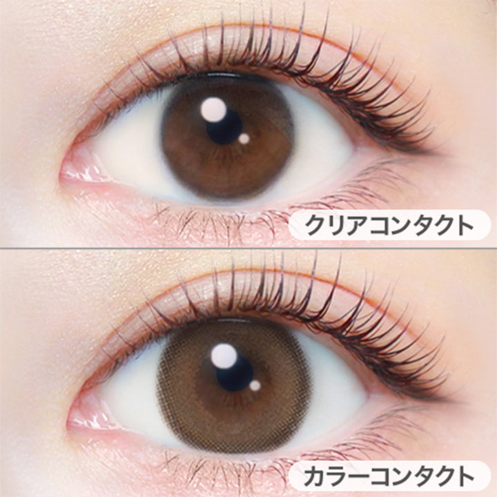 クリアキャメル(Clear Camel)の装用写真|エバーカラーワンデーナチュラル EverColor1day Natural カラコン カラーコンタクト
