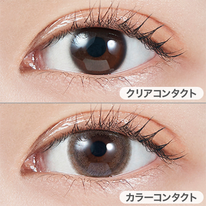 ダークピオニー(DARK PEONY)の装用写真|モラクワンデー(MOLAK 1day) カラコン カラーコンタクト