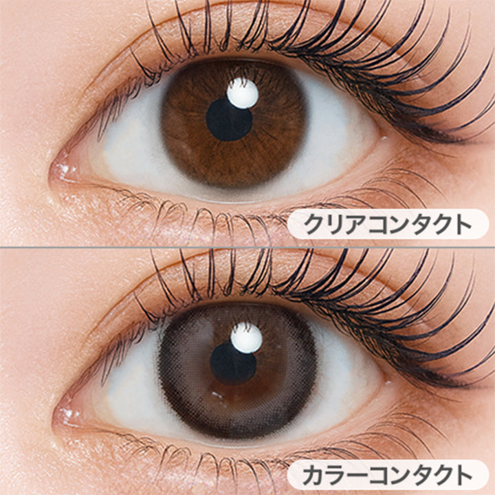 コーヒーブラウニー(Coffee Brownie)の装用画像 | シャルトンワンデー Charton 1day カラコン カラーコンタクト
