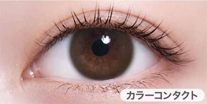 アップデートグロウ(Update Grow)の装用画像 | ハイディ Haidey 1day カラコン カラーコンタクト
