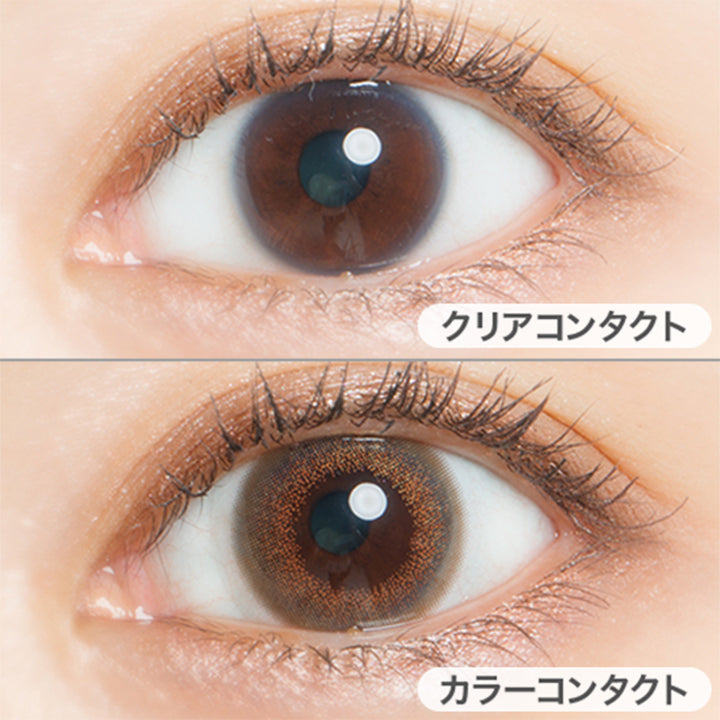 シルキージンジャー(Silky Ginger)の装用画像 | フェアリーワンデーシマーリングシリーズ Fairy 1Day Shimmering Series カラコン カラーコンタクト
