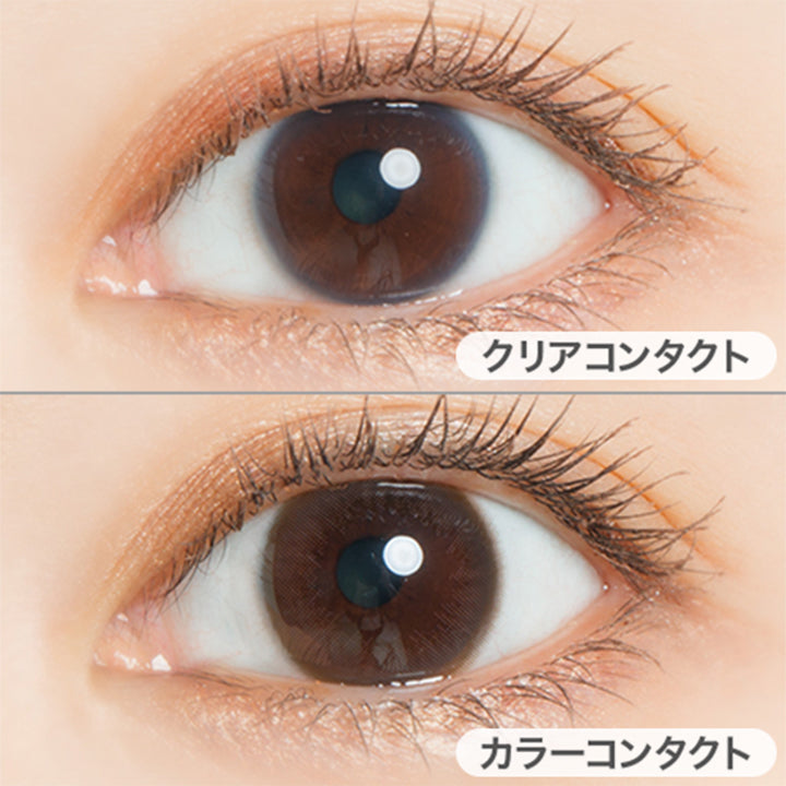 リトルブラウン(Little Brown)の装用画像 | フェアリーワンデーニュートラルシリーズ Fairy 1Day Neutral Series カラコン カラーコンタクト
