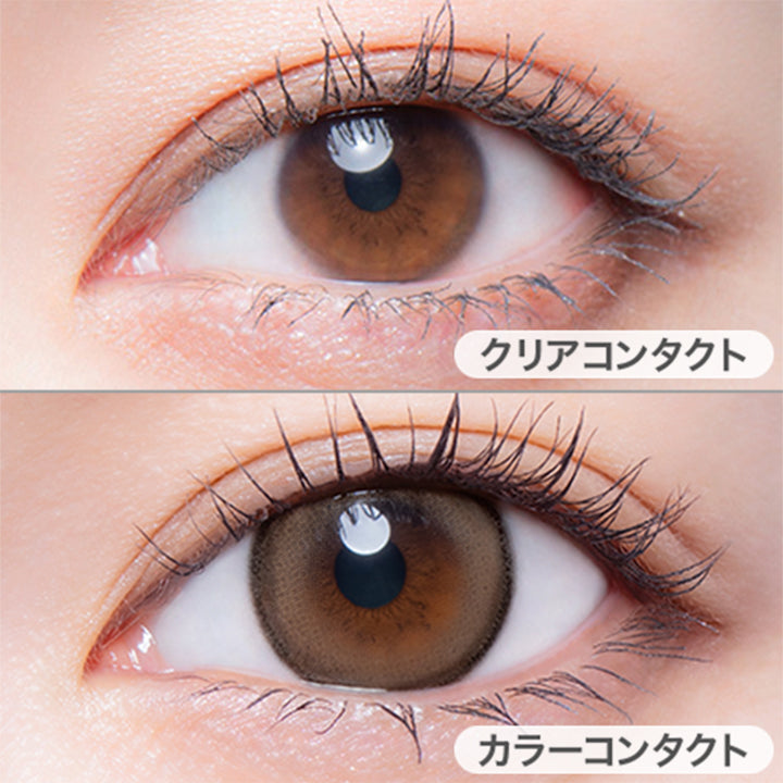 ピュアプードルの装用写真|メロット(melotte) 1day カラコン カラーコンタクト