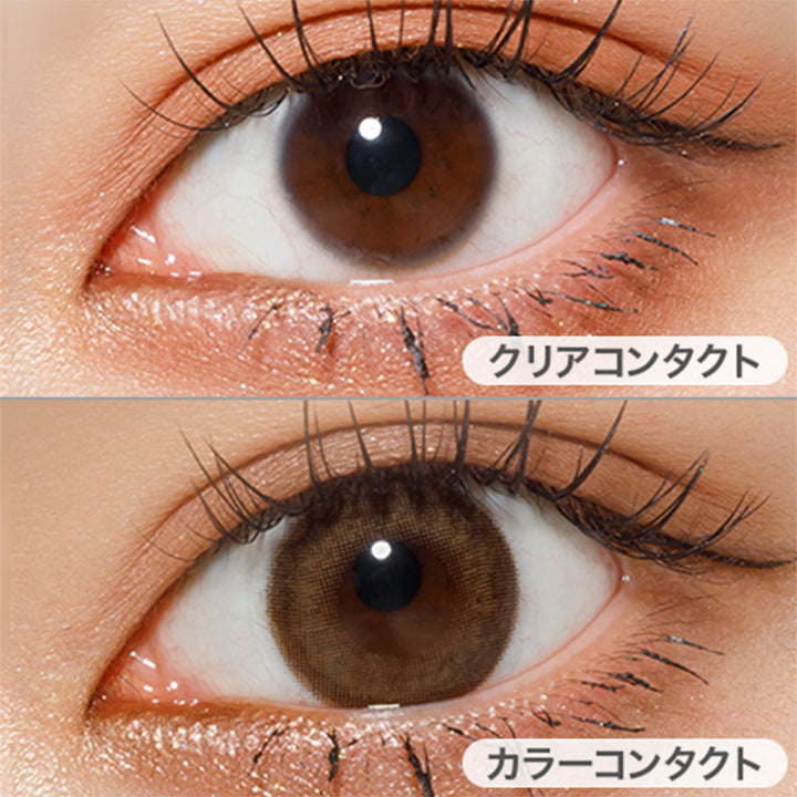 ロイブラウン(Loy brown)の装用画像 | チャロル Chalor 1day カラコン カラーコンタクト
