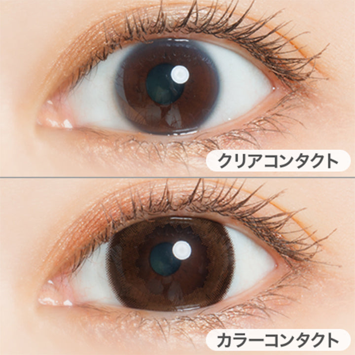 ドーリーブラウン(Dolly Brown)の装用画像 | フェアリーワンデーニュートラルシリーズ Fairy 1Day Neutral Series カラコン カラーコンタクト
