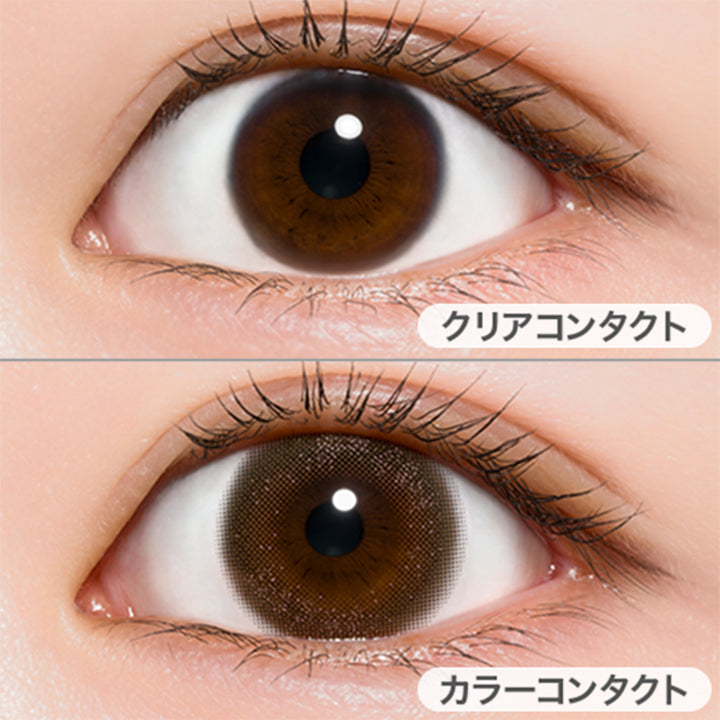 ヴェールマロン(Veil Marron)の装用画像 | プロウィンク ProWink 1day カラコン カラーコンタクト
