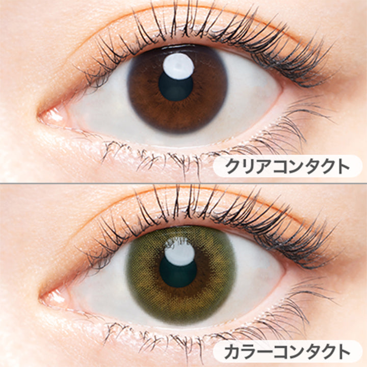 ヴィンテージピスタチオ(Vintage Pistachio)の装用画像  | エンジェルカラーバンビシリーズヴィンテージワンデー Angelcolor Bambi Series Vintage 1day カラコン カラーコンタクト
