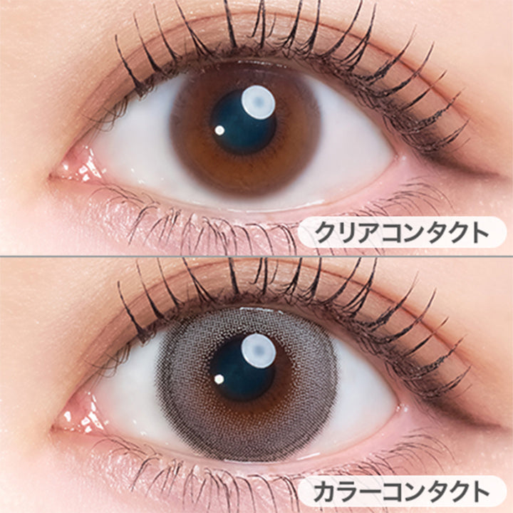 スワングレー(Swan Gray)の装用画像 | エンジェルカラーバンビシリーズワンマンス Angelcolor Bambi Series 1Month monthly カラコン カラーコンタクト
