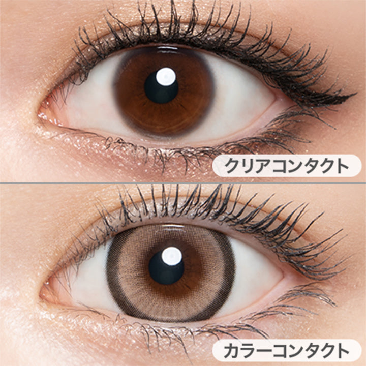 アルカディアゴールド(Arcadia gold)の装用画像 |ラヴェール loveil 1day カラコン カラーコンタクト
