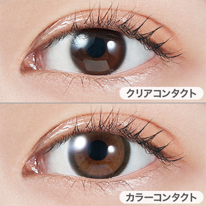 ブラウンバニートーリック(Brown Bunnuy Toric)の装用画像 | モラクトーリック Molak toric 1day 乱視用カラコン カラーコンタクト
