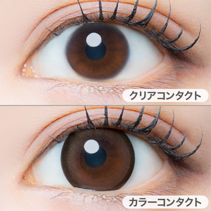 スウィートティア(Sweet Tier)の装用画像 | アイジェニックバイエバーカラー Eyegenic by EverColor 1month カラコン カラーコンタクト
