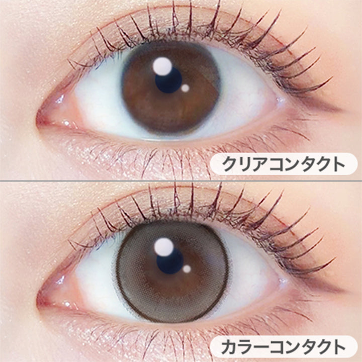 エバーカラーマンスリー(EverColor monthly) パールスノーグレー