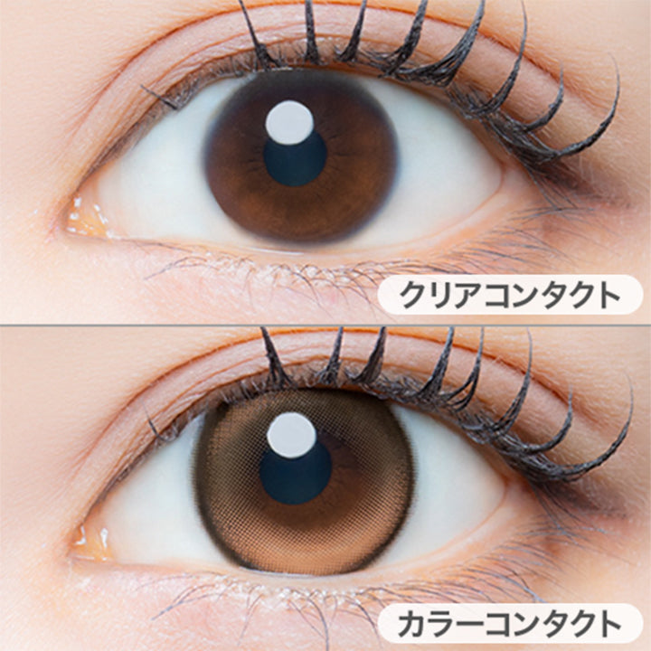 モカドロップ(Mocha Drop)の装用画像 | アイジェニックバイエバーカラー Eyegenic by EverColor 1month カラコン カラーコンタクト
