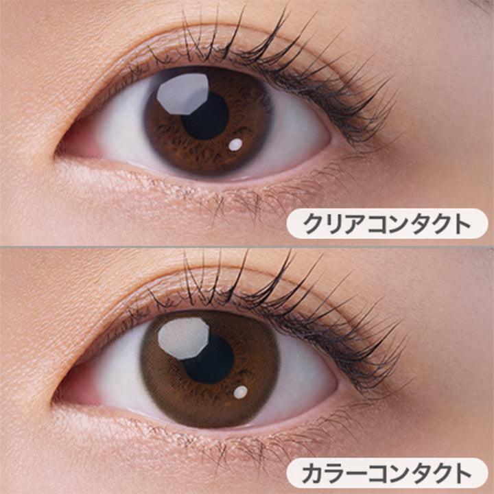 フェアリーワンデーニュートラルシリーズ(FAIRY 1day NEUTRAL SERIES