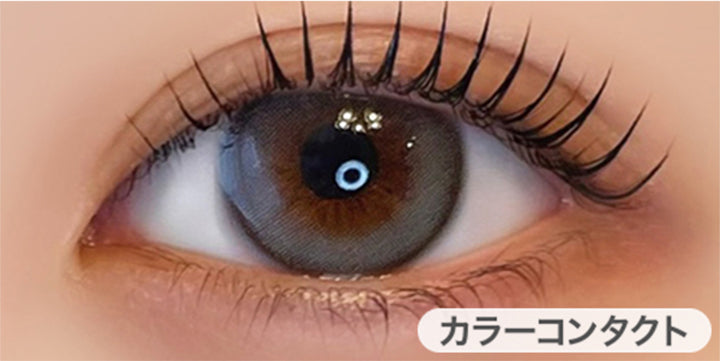 エーテルグレー(Ether Gray)の装用画像 | フェレーヌ ferenne 1day カラコン カラーコンタクト

