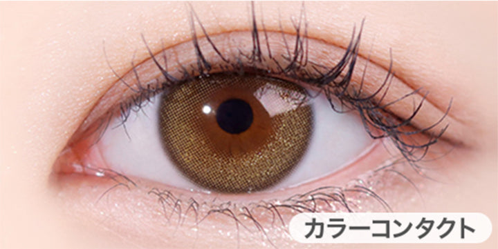 ダルブラウン(Dal Brown)の装用画像 | ホロリスバイレンズミー Holoris By Lensme 1month monthly カラコン カラーコンタクト
