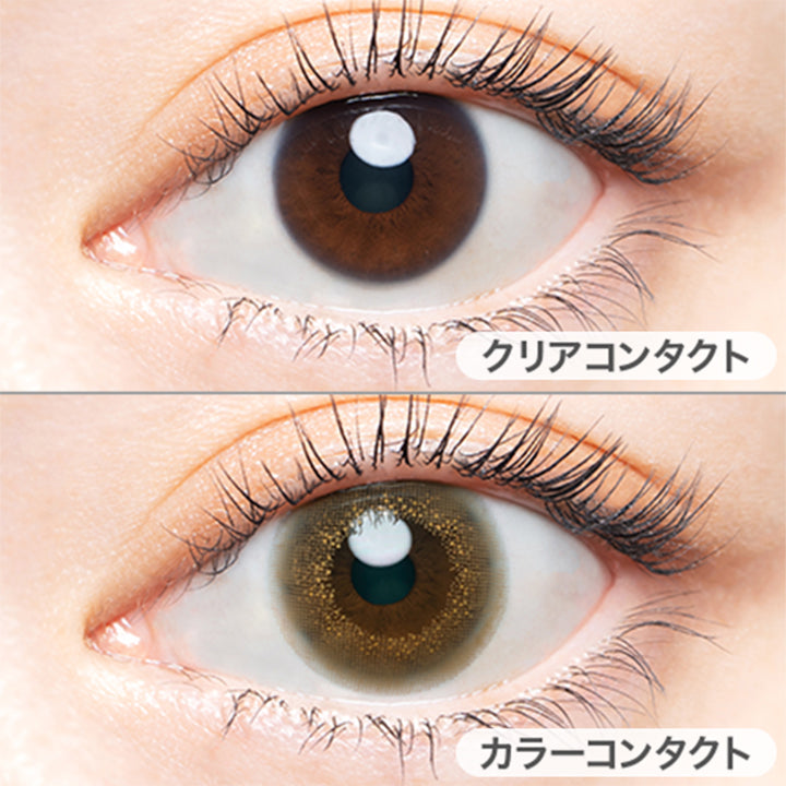 ヴィンテージへ(Vintage Hazel)の装用画像  | エンジェルカラーバンビシリーズヴィンテージワンデー Angelcolor Bambi Series Vintage 1day カラコン カラーコンタクト
