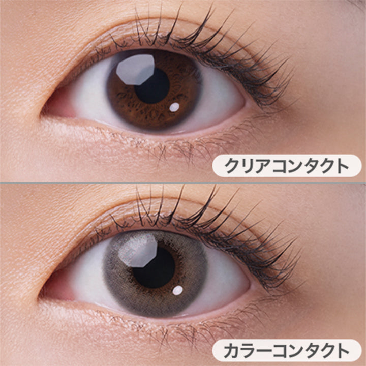 フェアリーワンデーニュートラルシリーズ(FAIRY 1day NEUTRAL SERIES