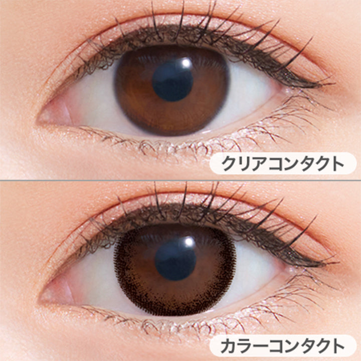 ダークブラウン(Dark Brown)の装用写真,|ネオサイトワンデーリングUV(NeoSight oneday Ring UV)