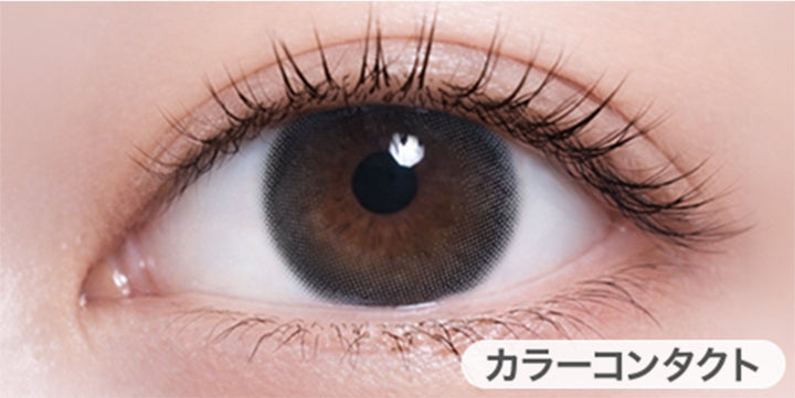 グラファイトシーン(Graphite Sheen)の装用画像 | ハイディ Haidey 1day カラコン カラーコンタクト
