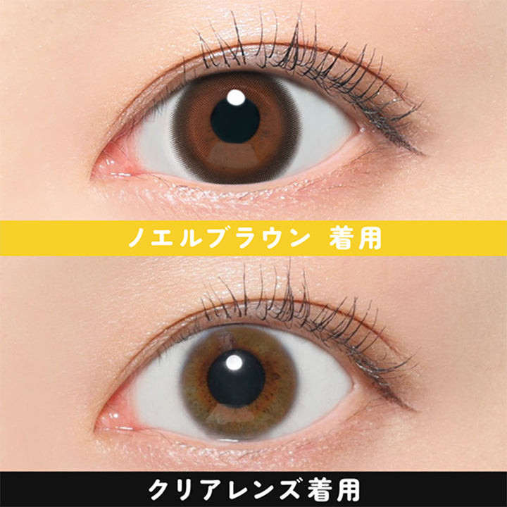 ノエルブラウン(NOEL BROWN)の装用写真| フルフル FruFru 1day カラコン カラーコンタクト 

