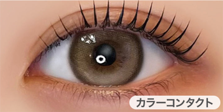 マロネージュ(Marroneige)の装用画像 | フェレーヌ ferenne 1day カラコン カラーコンタクト
