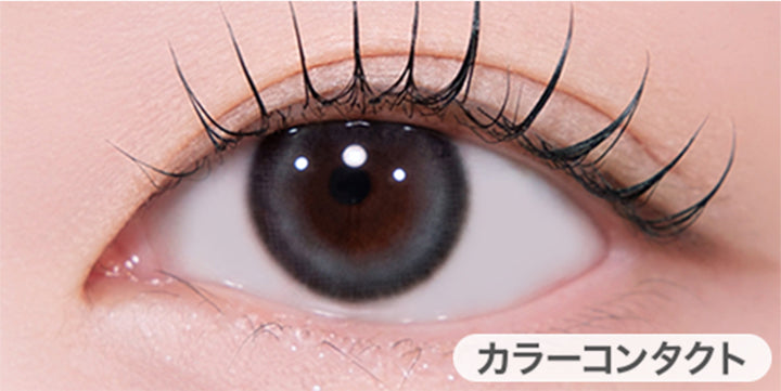 パンデイアムルビット (Pandeia Mulbit)の装用画像 | ユース YOUS 1day カラコン カラーコンタクト

