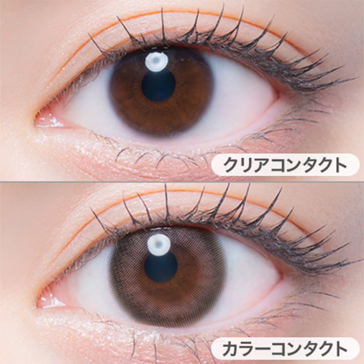 ココプードルの装用写真|エルージュ(eRouge) 2weeks カラコン カラーコンタクト