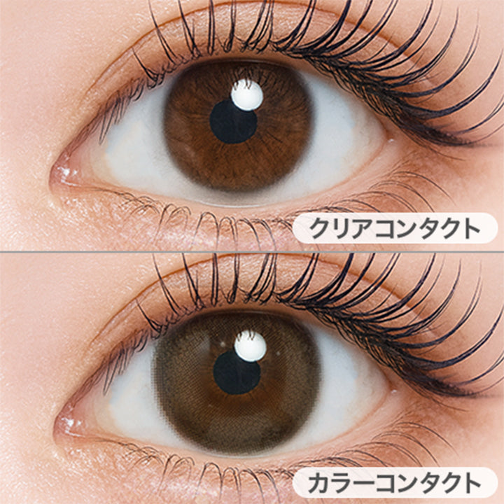 ビスケットスモア(Biscuit Smore)の装用画像 | シャルトンワンデー Charton 1day カラコン カラーコンタクト
