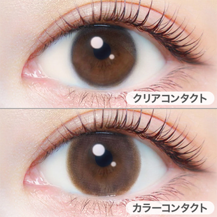 ひとめぼれの恋(Hitomebore No Koi)の装用画像 | エバーカラーワンデートーリック Evercolor1Day Toric 乱視用 カラコン カラーコンタクト
