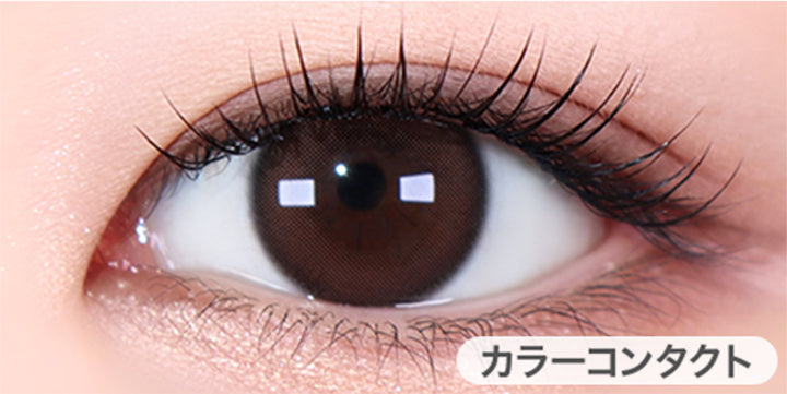 ヌオチョコ (Nuo Choco)の装用画像 | ユース YOUS 1day カラコン カラーコンタクト
